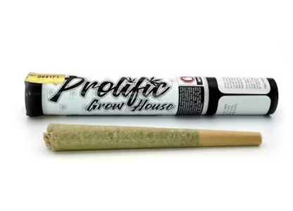 Prolific - Prolific Grow House | Garlitti | 1g