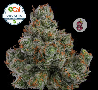 NO TILL KINGS - NO TILL KINGS 3.5G J1 Organic Indoor Flower