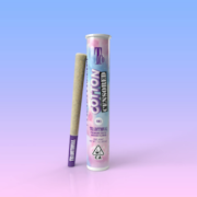 Traditional - 1g Preroll - Cotton Censored 