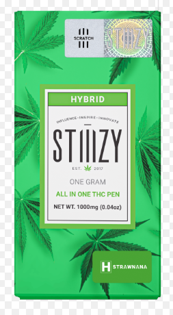 Stiiizy AIO - SFV OG 1g
