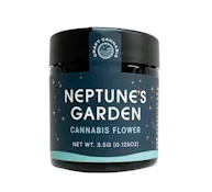[REC] Neptunes Garden | Nightmare Runtz | 3.5g Flower