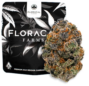 Floracal - Floracal - Flower - Purple Churro - 7G
