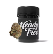 GALACTIC WARHEAD 3.5G- HEADY TREE
