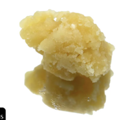 GMO X Root Beer | Live Resin Concentrate | 2g | TAXES INCLUDED