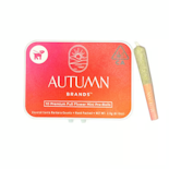 Autumn Brands - 10pk Prerolls - OG Kush