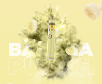 Banana Punch *93% TAC* | 2g Disposable *Mix n Match* | TAXES INCLUDED