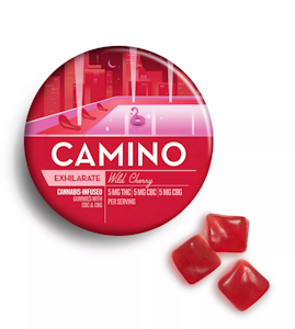 CAMINO - Camino - 'Exhilarate' Wild Cherry - 100mg THC/100mg CBC/100mg CBG - 20pk