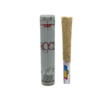 Sluggers - Sluggers - .7g Infused Preroll - Fire OG