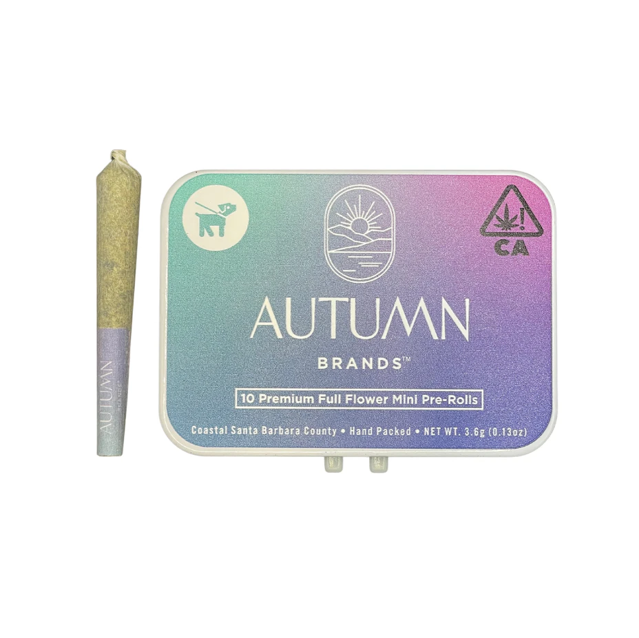 Autumn Brands - Autumn Brands - 10pk Mini Prerolls - G-Runtz Main Image