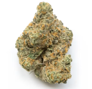 Moby Dick 3.5g
