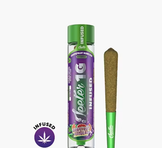Jeeter - Jeeter 1G Grapefruit Romulan Quad Infused Preroll