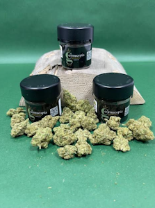 CORNUCOPIA - BLUE CHEESE - CORNUCOPIA PREROLL - 1g