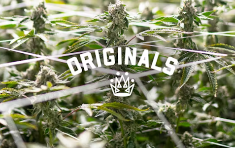 ORIGINALS - ORIGINALS - Prerolls - SFV OG - 3PK - 3G