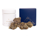 A Golden State | Night Sky | Indoor Flower | 1/8oz