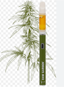 Raw Garden - Puffy Payton - Live Sauce - RTU - 1G