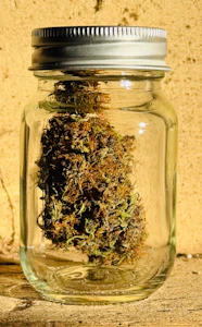 Pudding Hill Farm - Durban Poison - 3.5g - Pudding Hill Farm