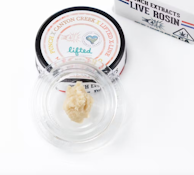 Punch Extracts | Moroccan Gold Tier 4 Live Rosin Cold Cure Badder 1g