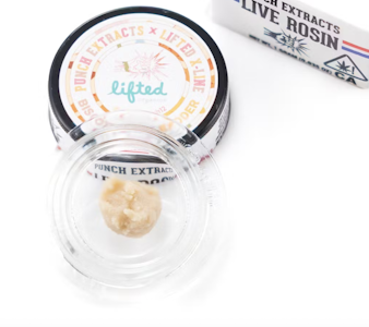 PUNCH EDIBLES & EXTRACTS - Punch Extracts | Dulce de Sherbert Tier 4 Live Rosin Cold Cure Badder 1g