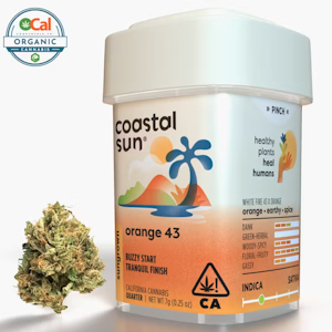 COASTAL SUN - Coastal Sun Flower 7g - Orange 43 29%