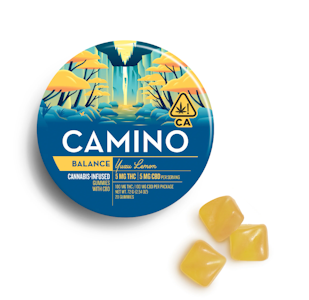 CAMINO - Camino | Edible | Yuzu Lemon | 20-pack | 100mg