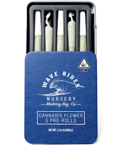 Wave Rider - High Society - Multi Pack prerolls - 5pk 2.5g
