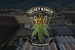 QUIET KINGS - Preroll - Kush Berry - 1G
