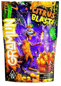 GRAMLIN - Gramlin - Flower - Citrus Blast - 3.5G
