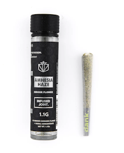 DANK - Amnesia Haze - 1.1g Infused Preroll