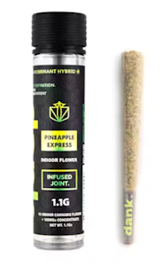 DANK - Dank - Pineapple Express - 1.1g Infused Preroll