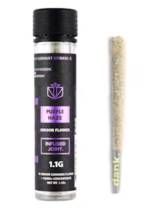 DANK - Dank - Purple Haze - 1.1g Infused Preroll