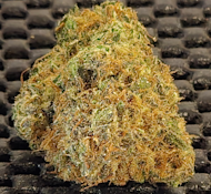 Grapefruit Magoo - 14g - Blue Collar Botany