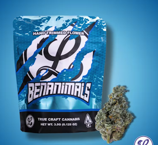 Lumpy's Flowers - Lumpy's 3.5G Benanimals Indoor Flower