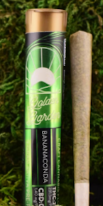 Golden Garden | Pre-Roll | Joint - Bananaconda | 1g