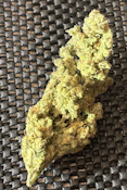 Orange Tart - 14g - Blue Collar Botany