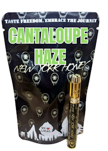 NEW YORK HONEY - Cantaloupe Haze - 1g AIO Disposable