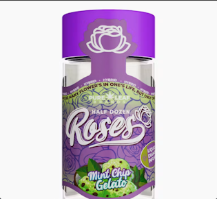 Roses - Mint Chip Gelato .6G Infused Pre-Rolls (6 Pack)