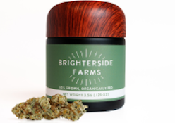 [REC] Brighterside | Gelato Mints | 3.5g Premium Flower