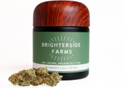 Brighterside - [REC] Brighterside | RGM | 3.5g Premium Flower