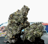 TEDS BUDZ 3.5G Black Fish Flower