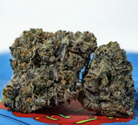 TEDS BUDZ 3.5G Meat Loaf Flower