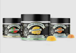 Blueberry Pancakes 100mg Rosin Infused Gummies - Quiet Kings