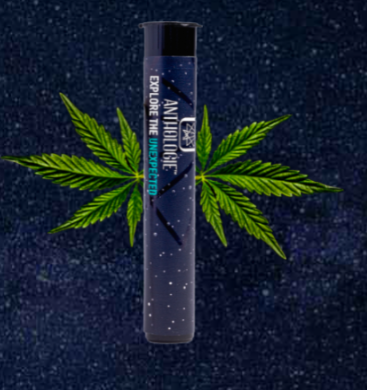 [REC] Anthologie | Motorbreath 15 | 1g/1pk Preroll