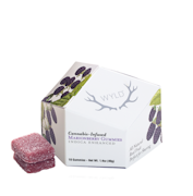 WYLD - 100mg Gummies - Marionberry