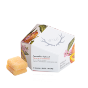 WYLD - 2:1 CBD:THC - 10ct Gummies - Peach