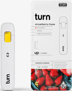 TURN -  [Turn] All-In-One - 1g - Strawberry Haze (H)