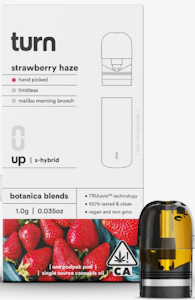 TURN -  [Turn] THC Pod - 1g - strawberry haze (S/H)