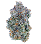 Blue Face | 14g | Duffys