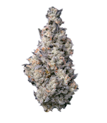 Donut Shop | 14g | Duffys