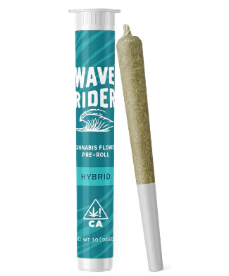 Wave Rider - Wave Rider Preroll 1g Purple Apple Fritter Main Image
