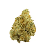 Sour Tangie | 4g | Pop's Weed